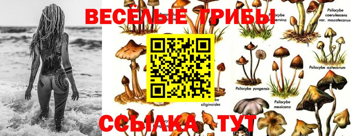 Псилоцибиновые грибы мухоморы Омск